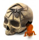 Scaled Укрытие из искусственного камня Skull Shelter 12см (череп)