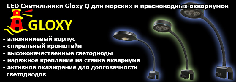 Светодиодные светильники Gloxy Q4